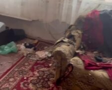 Сына нашла мать: первые подробности и кадры с места новой трагедии в Киевской области