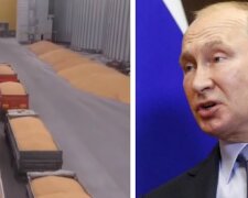 "Это создает опасный прецедент": в россии придумали схему, как продавать украденное украинское зерно