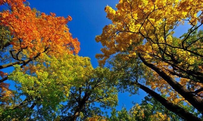 осень, погода,