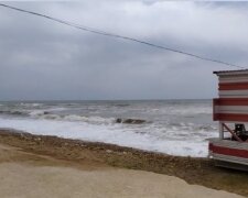 Шторм викинув на берег дельфіна під Одесою: кадри подій