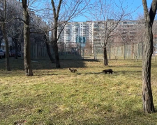 Прогноз погоди на тиждень з 27 квітня до 3 травня