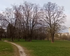 Прогноз погоды на неделю с 16 по 22 марта в Киеве.