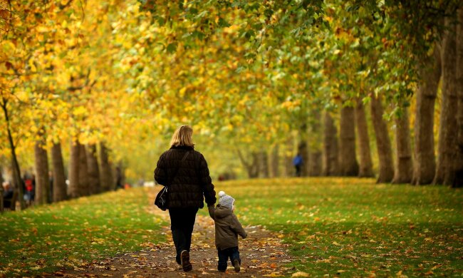 погода, осень