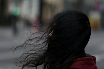 плохая погода, ветер, сырость
