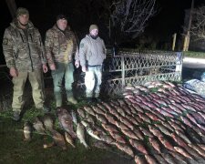 Держекоінспекція