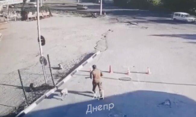 Военный застрелил собаку на заправке в Днепре, кадры: "Должен понести наказание"