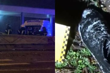 "Думав, що врізався в стовп": п'яний водій залишив помирати збитого пішохода, кадри трагедії на Житомирщині