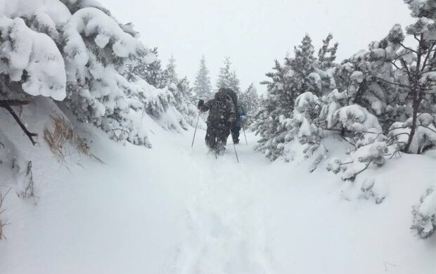 снег карпаты