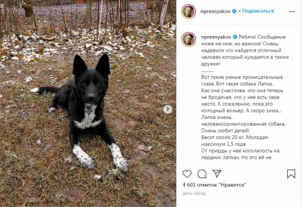 Молодой сын Орбакайте срочно обратился за помощью с поиском новой семьи: "Приезжайте знакомиться...", фото