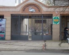 Переполох в зоопарку Одеси, втік знаменитий вихованець: відео з місця подій