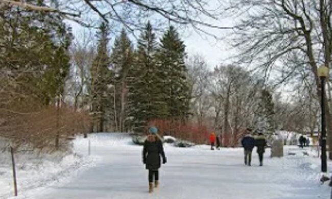 зима, люди, погода