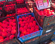 Дефіцит продуктів в Сумській області