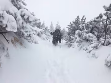 снег карпаты