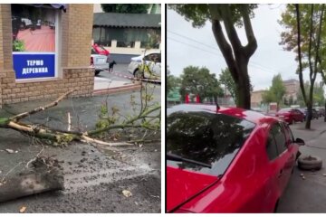 У Кривому Розі водій збив вагітну жінку