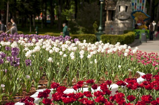 ����: politeka.net