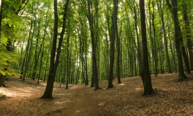 Прогноз погоды на неделю с 16 по 22 апреля в Полтавской области.