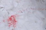 У Києві б'ють на сполох через рожеві плями на снігу: "результати досліджень показали..."
