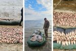 Госэкоинспекция