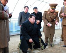 лидер КНДР Ким Чен Ын и елочки