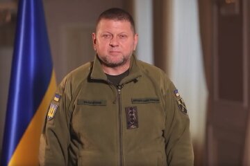 Валерий Залужный