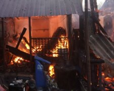 Мощный пожар вспыхнул на Закарпатье, кадры несчастья: "погибли двое..."