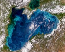Залишилося всього 15 років: Чорне море на межі екологічної катастрофи