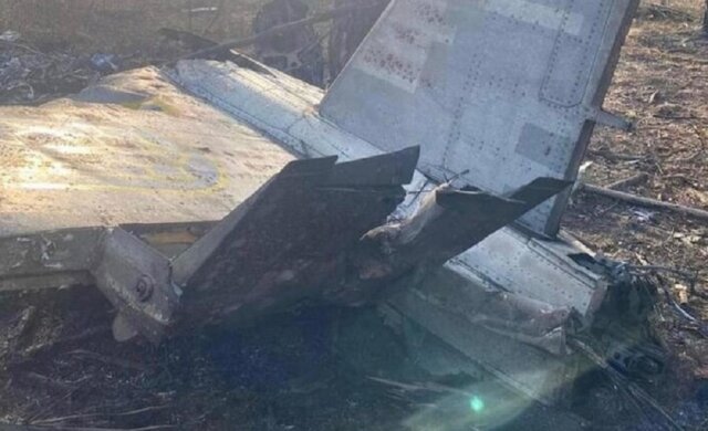 "Самолёт и пилот загорелись": новые подробности и кадры с места авиакатастрофы под Киевом