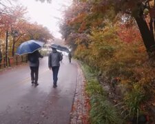 осінь, люди, погода, дощ