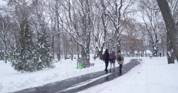 Снег и гололедица: на Одесчине объявлен первый уровень опасности из-за непогоды