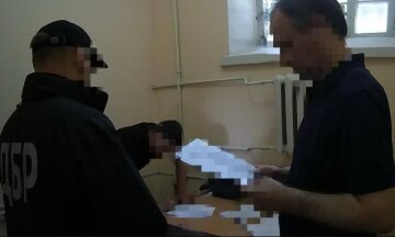 Заарештовано чинного нардепа: йому загрожує до 15 років позбавлення волі з конфіскацією майна