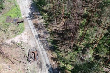 Госэкоинспекция: Оккупанты обстреляли леса на Житомирщине, чем нанесли ущерб на 36 млн гривен
