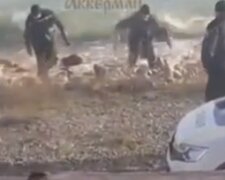 Тіло жінки без одягу виловили з моря в Затоці: відео та деталі загадкової трагедії