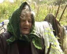 "Всем на нее наплевать": наглые квартиранты выгнали пожилую украинку в лес, старушка в отчаянии