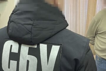 сбу, служба безопасности, задержание, скрин