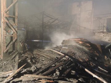 В Киеве сгорел завод: появились фото (фото)