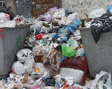 Улицы Днепра утопают в мусоре,  коммунальщики не работают: удручающие кадры