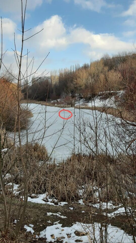 Девочка на местном водоеме