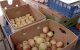 Дефіцит продуктів у Сумській області