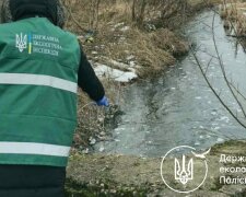 Госэкоинспекция