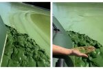"Всё усеяно дохлой рыбой": Днепр заполнила зеленая "сметана" вместо воды, кадры