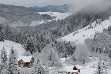 карпаты снег