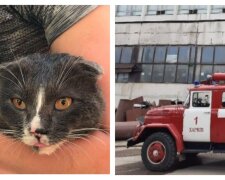 У вогняній пастці опинилася жінка з котом, кадри з місця: екстрено злетілися рятувальники