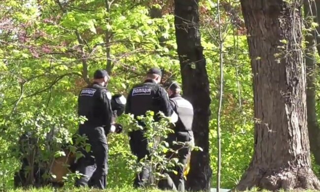 полиция, полиция Украины