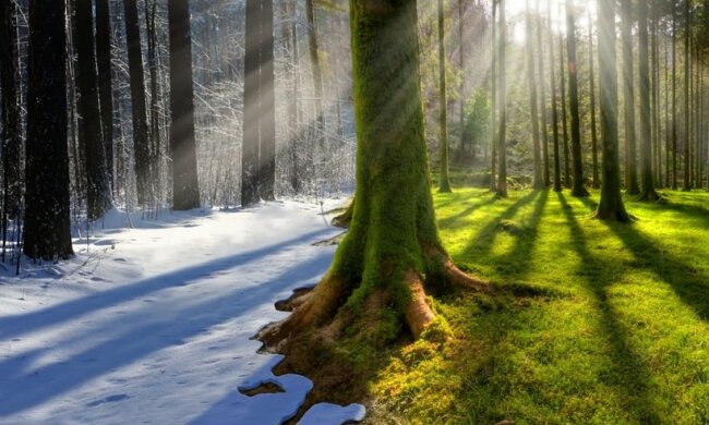 picture2_pochemu-ljudi-ne-_331945_p0