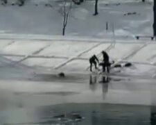 У Києві дитина провалилася під лід, на допомогу кинувся собака: момент потрапив на відео