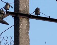 Графики отключения света в Ровенской области на 25 марта