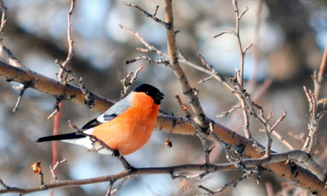 Погода в Украине 14 марта погода весна март