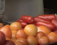 Подорожчання продуктів у Дніпрі