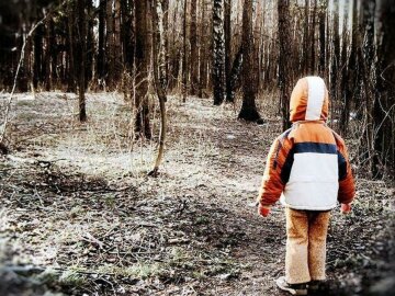 мальчик лес ребенок