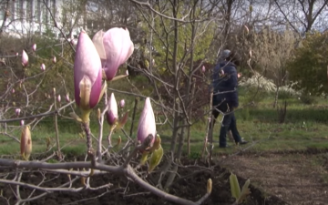 Прогноз погоди в Запоріжжі на 14 березня